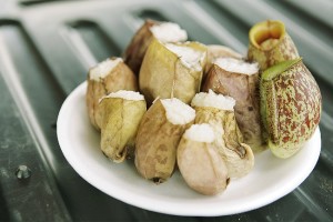 Resepi Makanan Utama Melayu Lemang Periuk Kera
